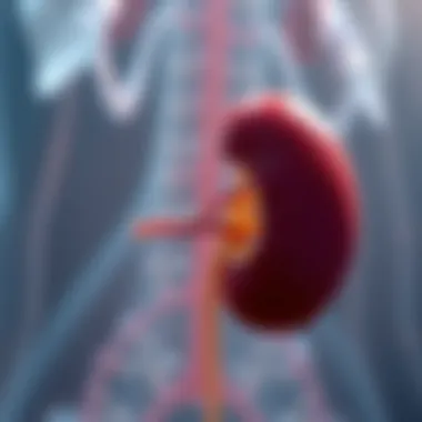 Stem Cell Therapy for Kidney Repair Stem cell therapy for kidney repair