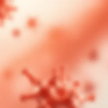 Key Applications of S1 Nuclease in Research Applications of S1 Nuclease in Molecular Biology