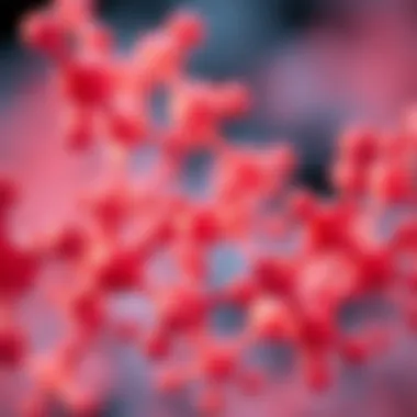 Detailed Composition of S1 Nuclease Buffer S1 Nuclease Buffer Composition