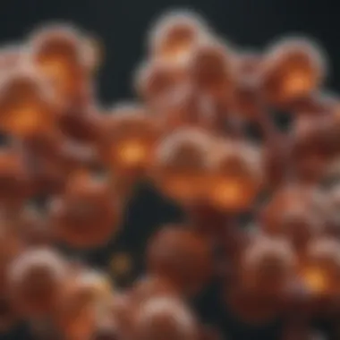 Molecular structures of key ingredients found in supplements for arthritis management.