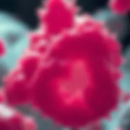 Microscopic view of SW480 cell line highlighting cellular characteristics