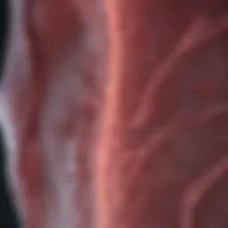 Exploring Synthetic 2D Mammography: Techniques, Advances, and Implications Introduction