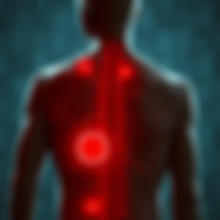 Graphic representation of neuropathological factors contributing to back pain