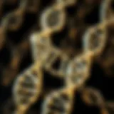 An intricate representation of DNA strands intertwining, symbolizing genetic mapping.