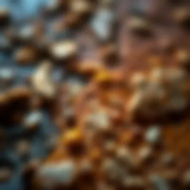 A detailed view of natural pigments used in prehistoric artwork