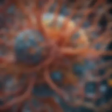 Intricacies of Cellular Biology Cellular structure in biology