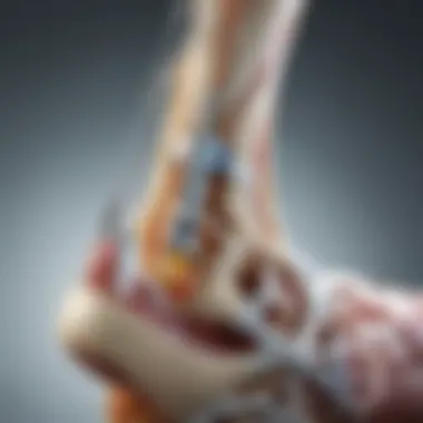 How Bone Stimulators Promote Bone Healing Diagram illustrating the mechanism of action of bone stimulators