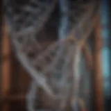 A close-up view of DNA double helix structure