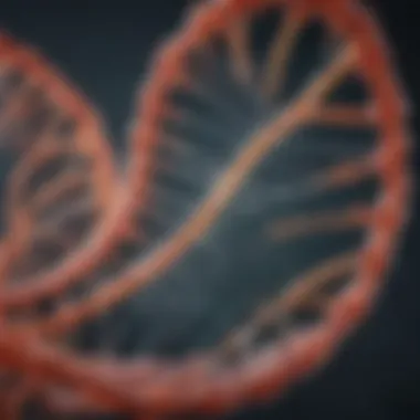 Exploring the Functionality and Applications of T7 DNA Ligase Summary Exploring the Functionality and Applications of T7 DNA Ligase Summary