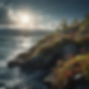 Complexity of Oceanic Ecosystems A scenic view of the ocean illustrating the complexity of marine ecosystems