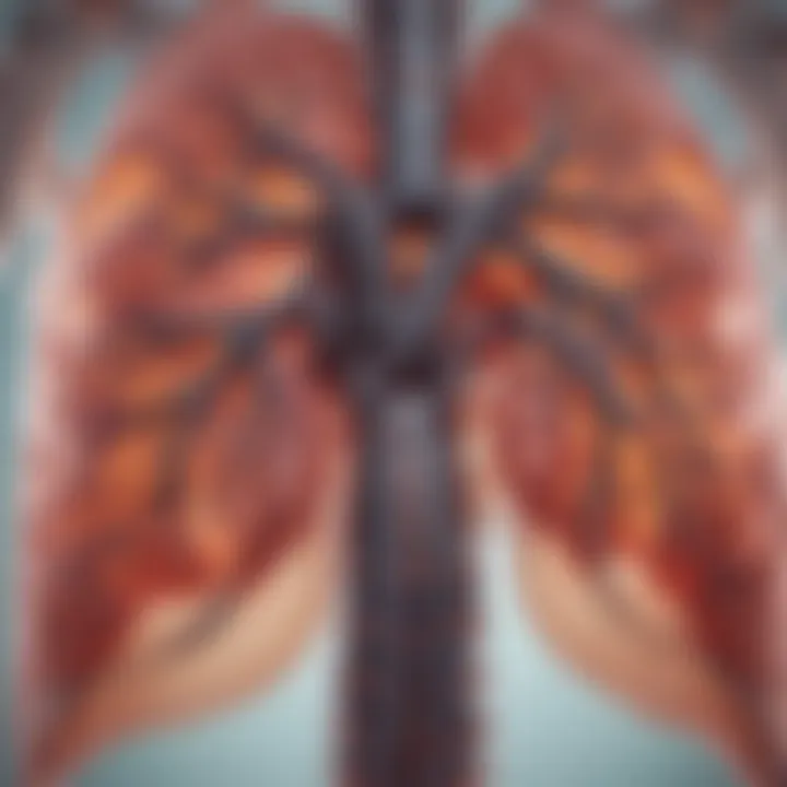 Advanced imaging techniques used in pulmonary studies