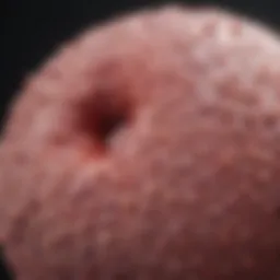 Clinical presentation of eosinophilic leukemia