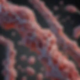 Visual representation of amyloid protein deposition in tissues