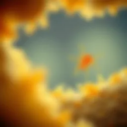 Microscopic view of Candida yeast in urine