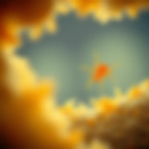 Candida Presence in Urine Microscopic view of Candida yeast in urine