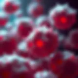 Microscopic view of leukemia cells