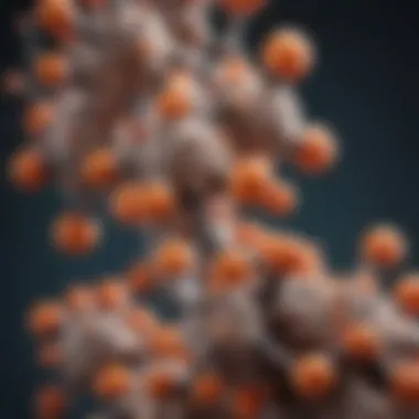 Chemical Structure of Urolithins Chemical structure of urolithins showcasing their complex molecular arrangement