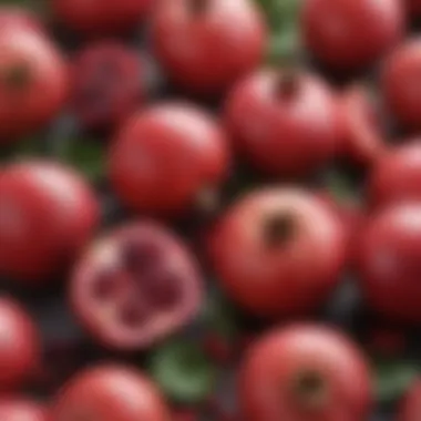 Sources of Urolithins Infographic detailing the sources of urolithins in fruits like pomegranates and berries