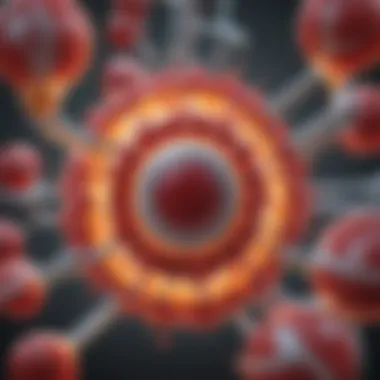 Illustration of the cholesterol molecule structure