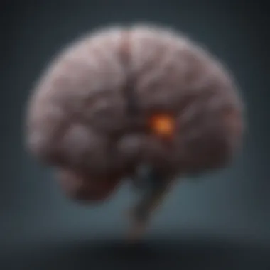 An abstract representation of brain chemistry changes during fasting.