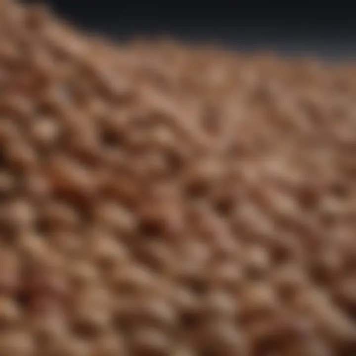 A close-up of nuts and seeds known for their health benefits