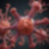 FGF19 Antibody: Insights into Mechanisms and Therapeutic Potential Introduction