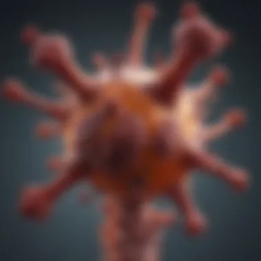FGF19 Antibody: Insights into Mechanisms and Therapeutic Potential Summary
