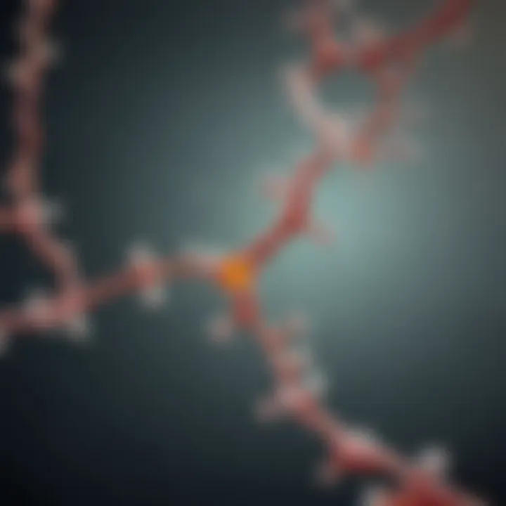 Diagram illustrating the serotonin pathway affected by fluoxetine