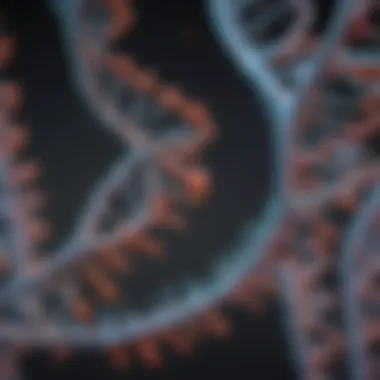 Microscopic view of DNA strands showcasing complex structures