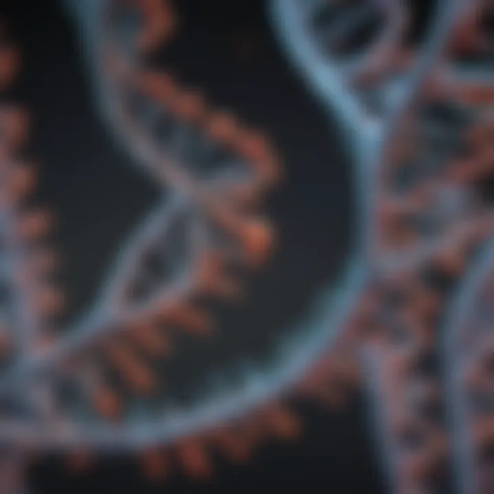 Microscopic view of DNA strands showcasing complex structures