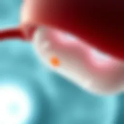 Conceptual illustration of gamete transfer