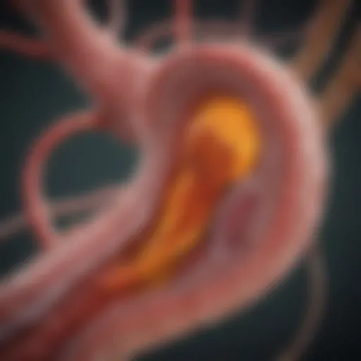 Mechanisms of gastric carcinoma metastasis