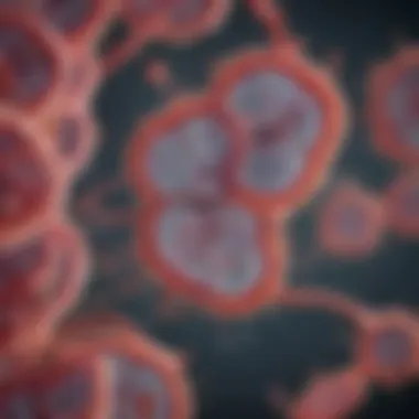 Transcription Mechanism in Prokaryotic Cells Diagram illustrating transcription in prokaryotes