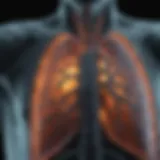 Radiological image showing ground glass opacity in lungs