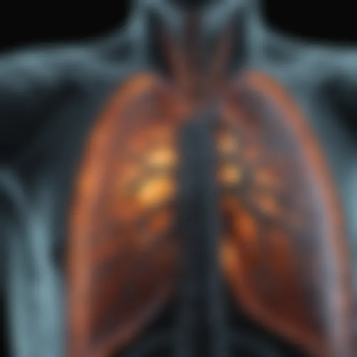Radiological image showing ground glass opacity in lungs