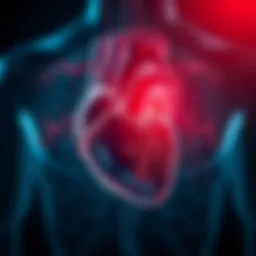Illustration depicting the effects of high blood pressure on the heart