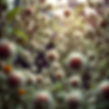 HepG2 cells in culture environment