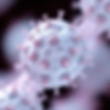 A close-up of HepG2 cell morphology