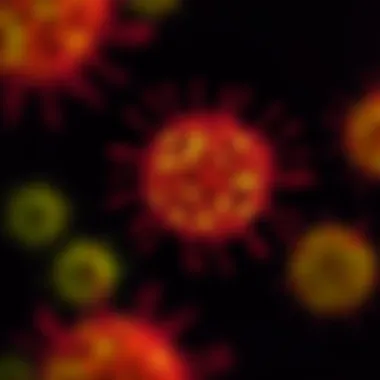 Visualization of gene expression in HepG2 cells