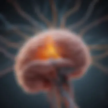 Visual Representation of Neuroplasticity Illustration of brain pathways showcasing neuroplasticity