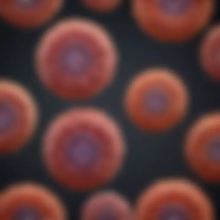 Graph showcasing the differentiation stages of intestinal organoids