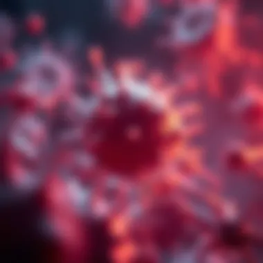 Cellular Mechanisms of Hyperthermia Cellular response to elevated temperatures