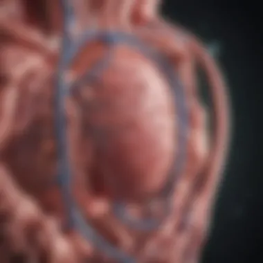 Chart showing genetic factors contributing to Atrial Fibrillation risk.
