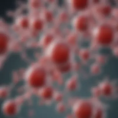 Enzymatic Reactions in Acetaminophen Metabolism Illustration showcasing enzymatic reactions involved in acetaminophen metabolism