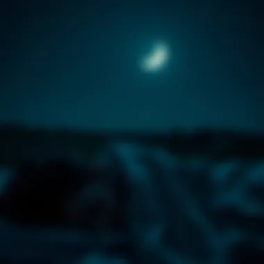 Sleep and Circadian Harmony A serene night scene symbolizing the importance of sleep and circadian rhythms.
