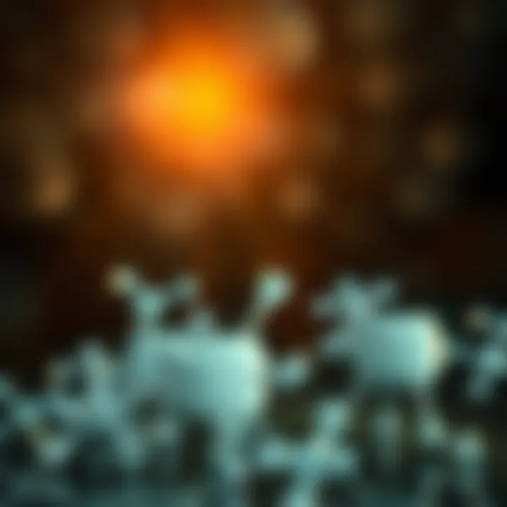 Impact of magnesium on health and environment