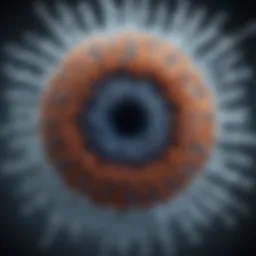 Visual representation of the influenza virus structure