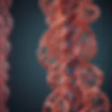 Detailed illustration of KRAS mutation pathways