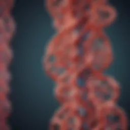 Detailed illustration of KRAS mutation pathways