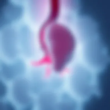 FGF8's Role in Congenital Disorders FGF8's role in congenital disorders
